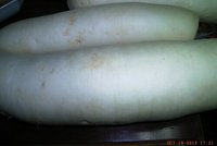 20121019 R.jpg