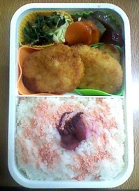120111 K3340040.jpg