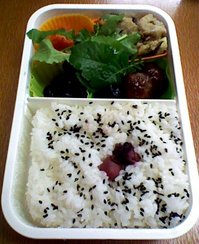 20120117 K3340045.jpg