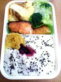 20120124 K3340056.jpg