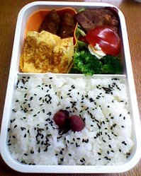 20120206 K3340070.jpg
