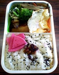 20120215 K3340078.jpg